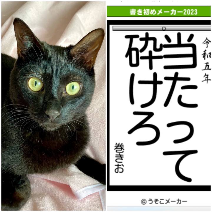 60d9a365 0a52 4ae9 a215 b08e1c637fed 1672643207414