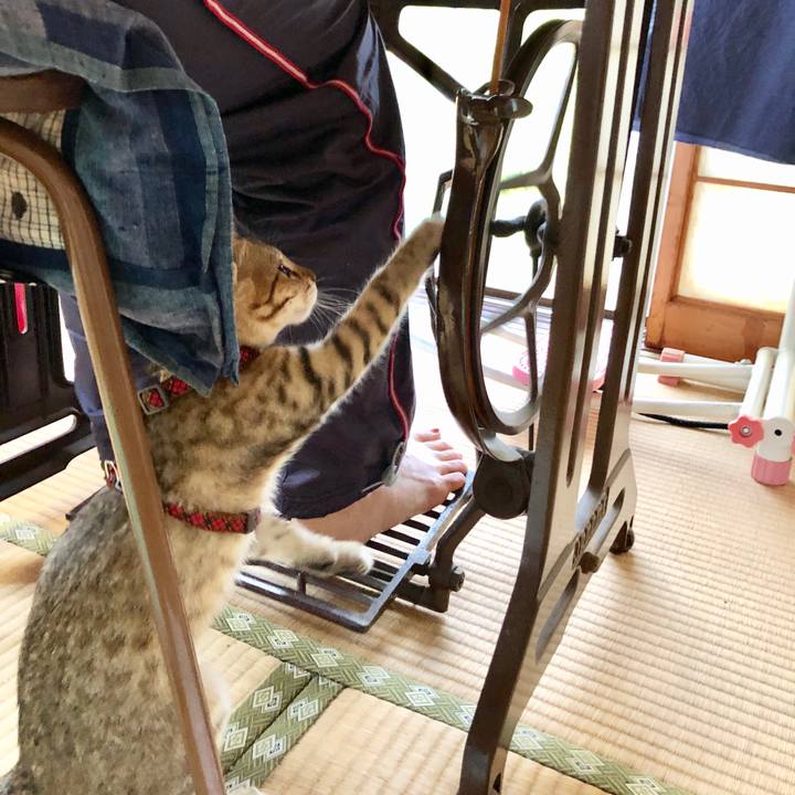 60d9cb49 39f2 4356 a17c d97bda09c66f 1580106278746