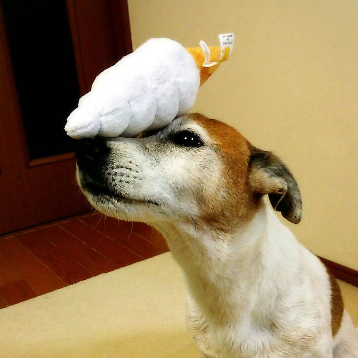 60d9f8ec 99d5 4f3b 8153 77e933d4e6d3 1519915715722