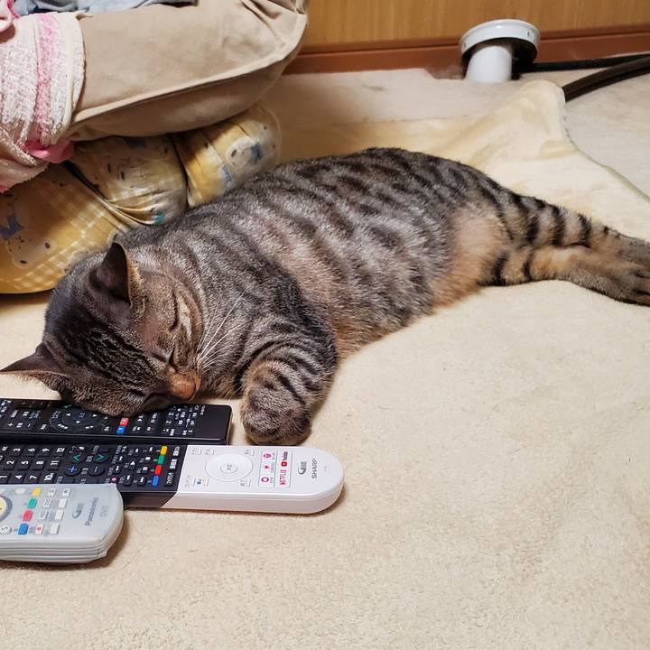 60d9fae3 4571 42ce 88a7 be77f900ac1f 1699458091380