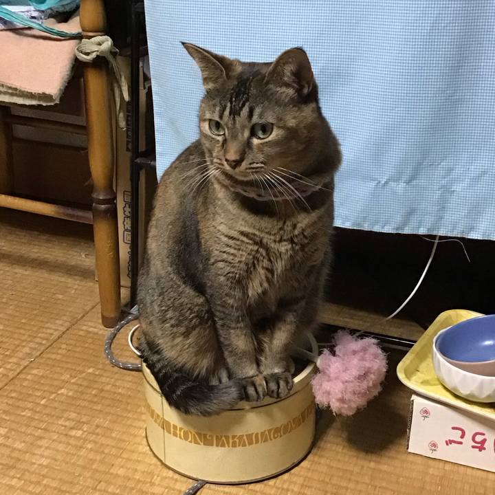 60da01e8 2f00 45a5 9914 8d974216baf8 1698570783873