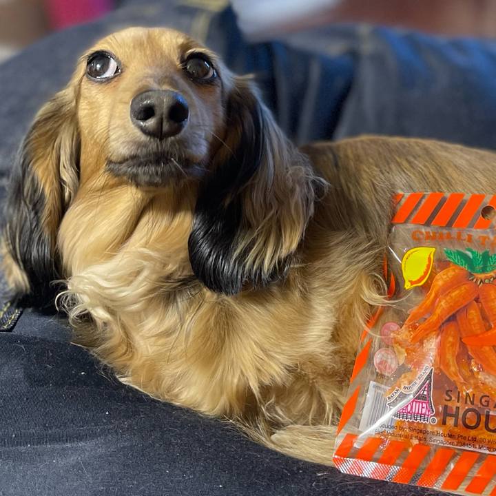 60da1e34 14ca 4c8a a006 b561fbab43bf 1732619087584