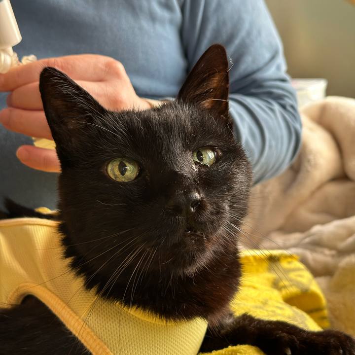 60da4a0f 8ea9 46c9 89fd 8807e93d25e6 1714095535060