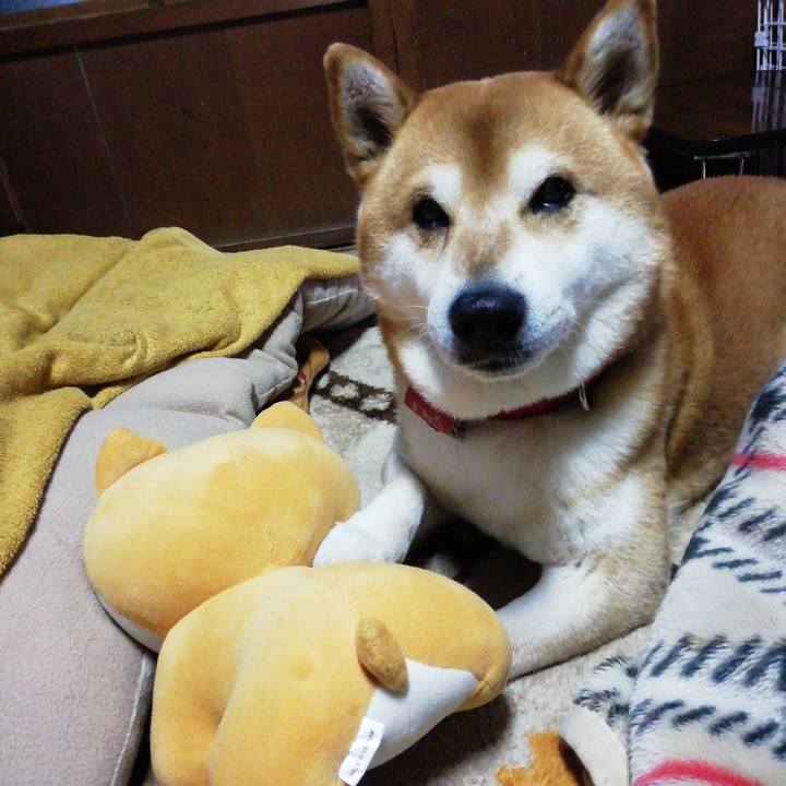 60da711b 8b5a 4ed4 ab68 1fca7b5d78a0 1616717601907