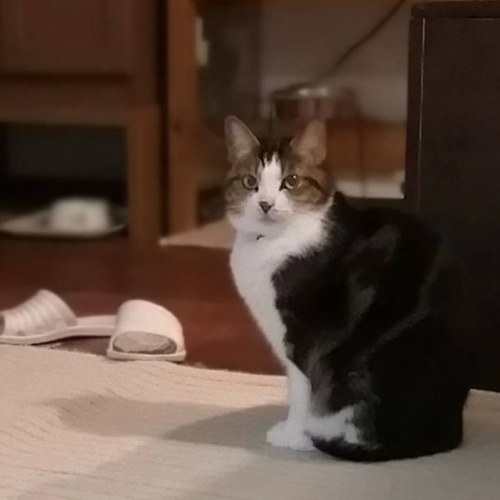 60dab679 c5cc 4b46 8f84 1be4ed4211d8 1573634366683