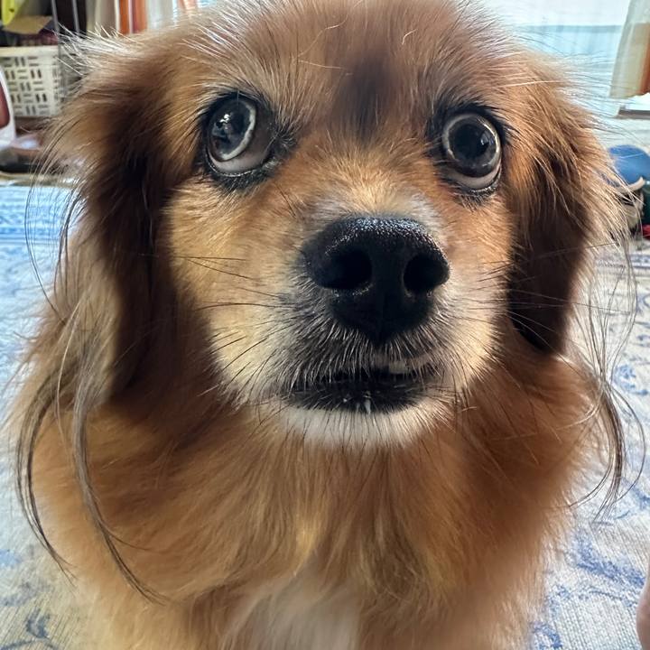 60dab725 d5de 49b5 bcdf d9ab3fd7a93d 1759700362329