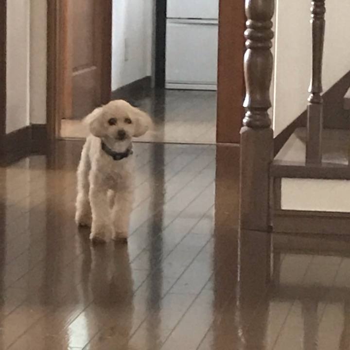 60db0f8e 1174 40f9 b4d3 56949031ecf7 1569980368928