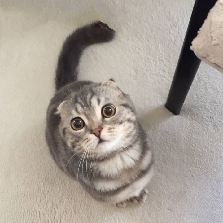 60db2eed 43c3 4aee 877e 00f1763b9a80 1594973108598