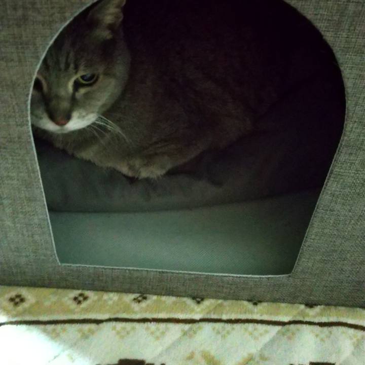 60db494e bf24 4b8d a57b 7582448dd33c 1679130543833