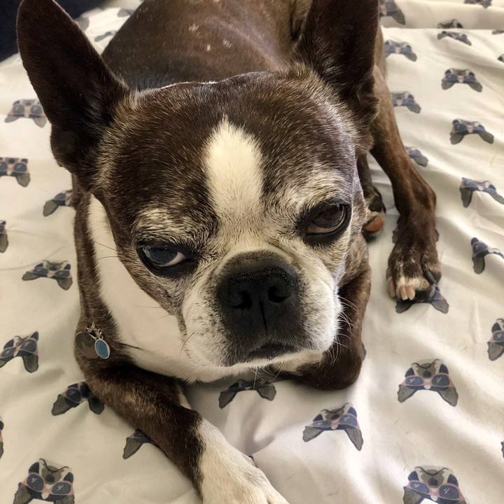 60db7281 fff6 4ff3 9d93 b0f7feb521dc 1560696274342