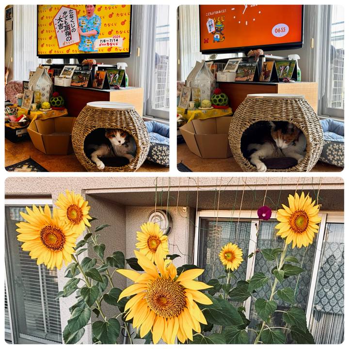 60db88ea efac 44e2 a9bc 2d3127f599a2 1720390795632