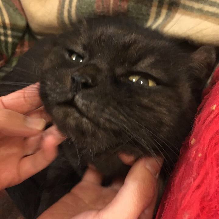 60dbac5e eae5 417e a8f1 887a705b5296 1543247927867