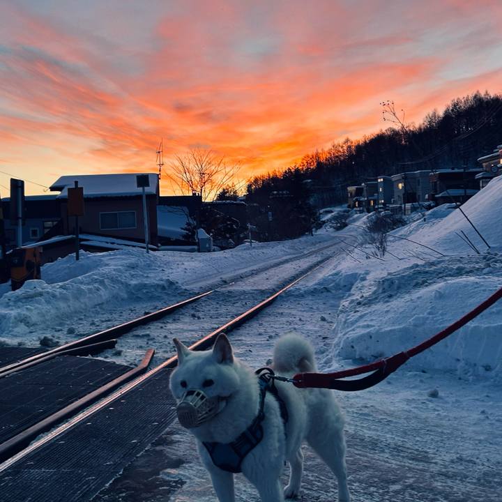 60dbb858 223c 45b6 b6e7 b61e61eb8100 1737238997807