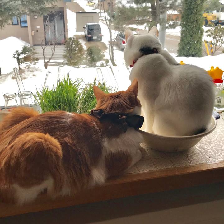 60dbd18d 51d0 4624 b485 04595b491f13 1551823038043