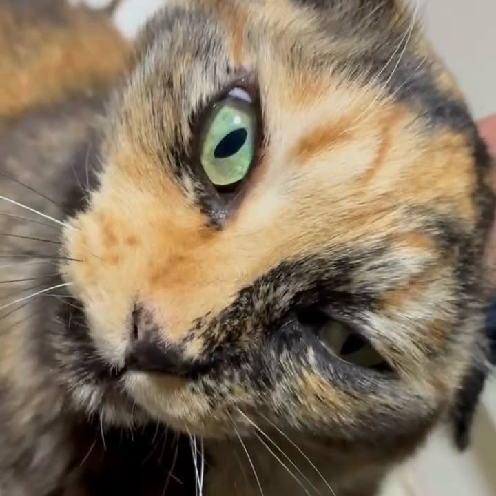 60dbe43a 48b2 4cc0 a7b7 549b614116c0 1775425944393