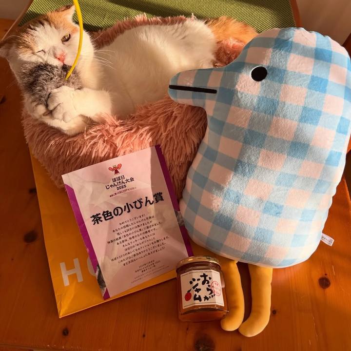 60dc039a 6307 4ff8 ac73 38839294807c 1767098964796