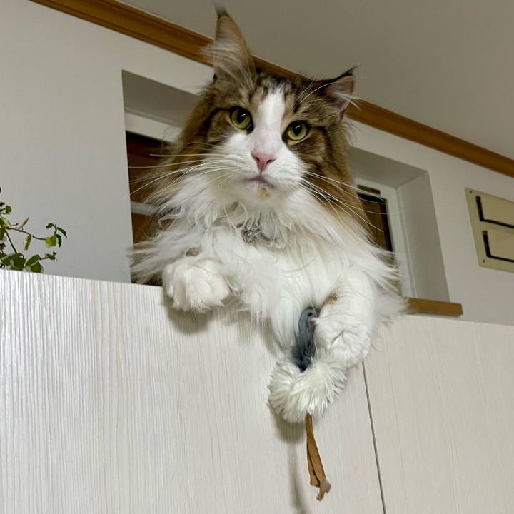 60dc47ea 9311 48d4 a9f8 75cf78e019c9 1677872200687