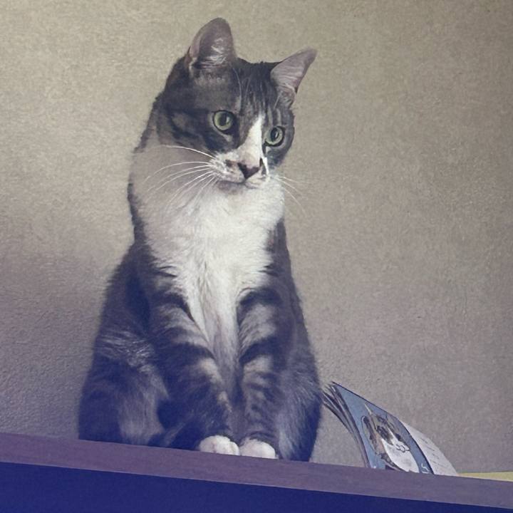 60dc4d83 d782 4f35 a790 6a1b31ba82f0 1765323243457