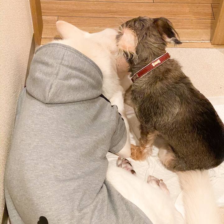 60dcad89 c778 4613 8163 4a2dc0aabaa7 1580573955246