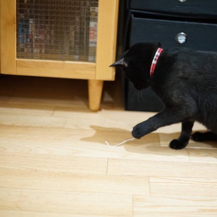 60dd0ee0 40bf 4bb5 b2bc c09a1e84796e 1519687767444