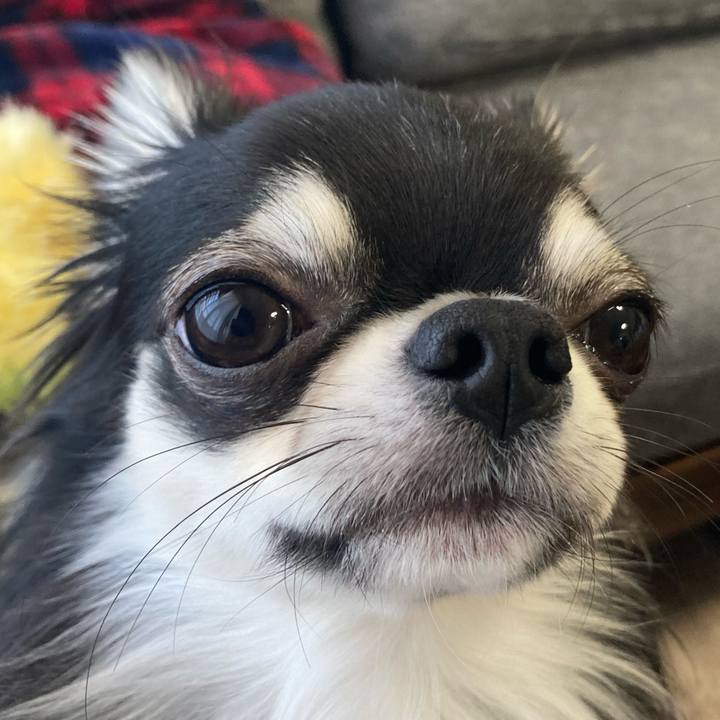 60dd1e5c d20e 4431 8376 40b33e3f993b 1613877104613