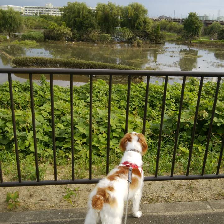 60dd2714 5195 4a5a 92be 84a58a4cc6a9 1531136897929