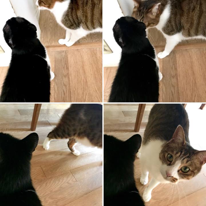 60dd49a7 fe66 46ce 84ae fe0b245ced22 1519116153761