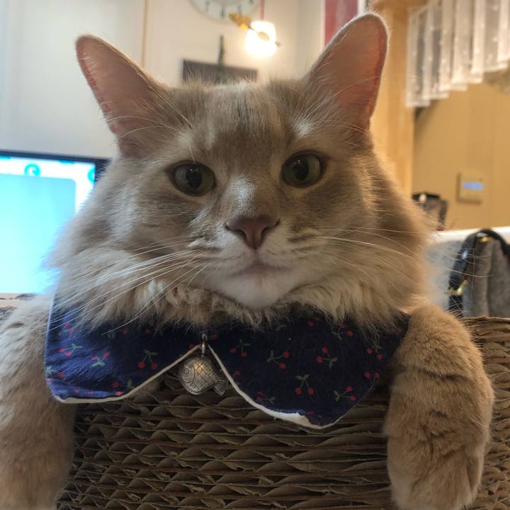 60dd4d11 ce9e 46b5 9db5 d556d21006e2 1647245087219