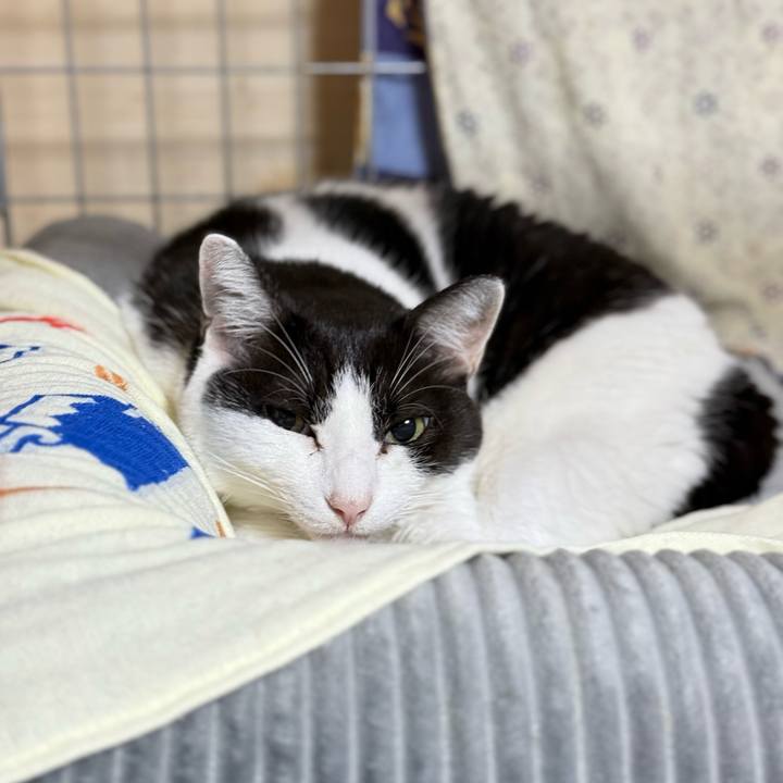 60dd6d14 d2af 4b8f af8d 2b0380e310c6 1732666795598