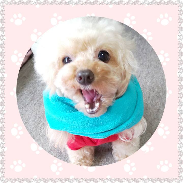 60dd7603 fb8e 4136 be8a 285659b1ae42 1573651487435