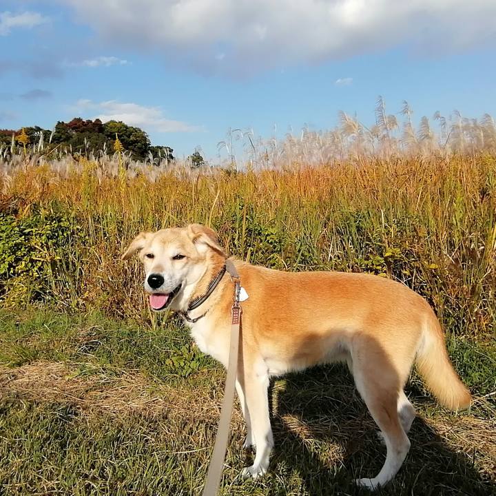 60dd81d4 8e5e 48df aaed 88e0dd3e4fd8 1604905269211