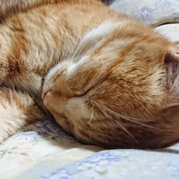 60dd9214 476c 4945 8da9 66e9e9a2a686 1582114351346