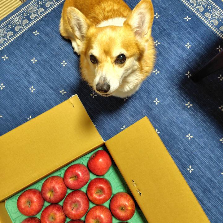 60ddcdd8 d4db 4a11 87d5 02a5fbb66f6b 1766220197673