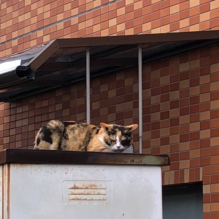 60de0588 7eb2 4f94 a6cc 7d0a511427a8 1526606493346