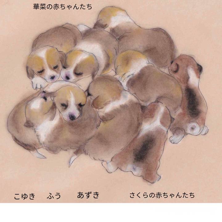 60de2da4 e69e 4287 b80e 90d0ea381be9 1612660548184