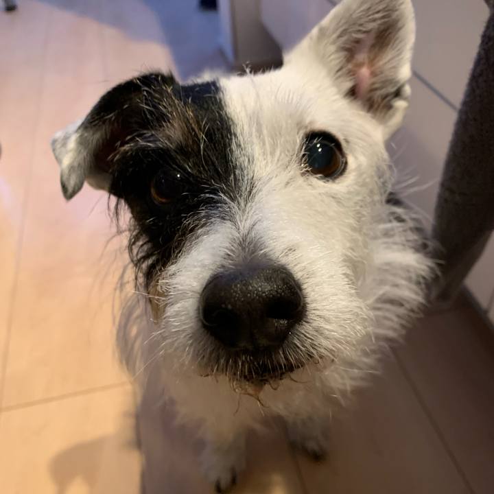 60de30eb f5ab 4ebf a4c3 aab5fac14cca 1738743778204