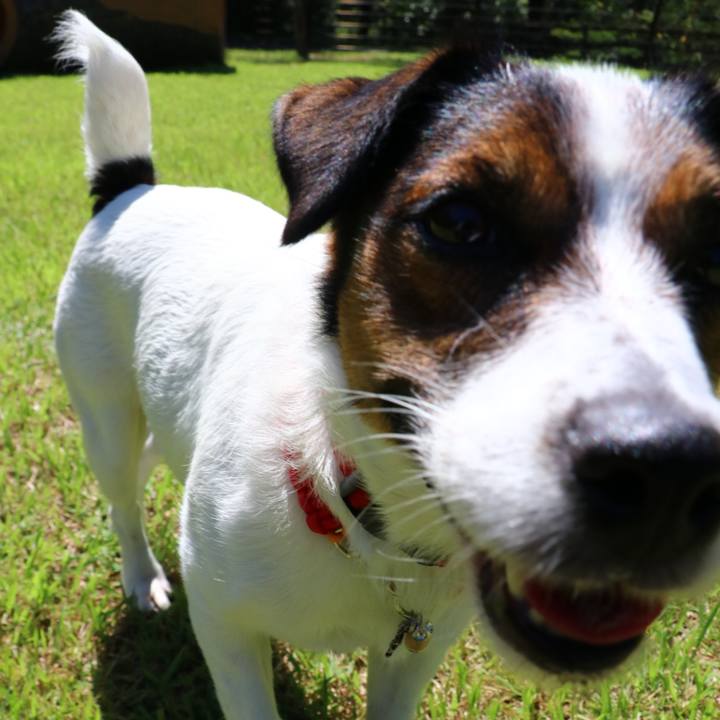 60de38ff 37f9 43c3 9646 8ff56a7e630b 1568443901025