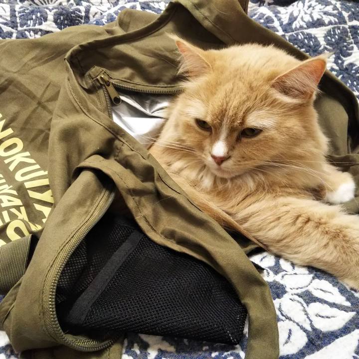 60de9de6 763e 4225 ab31 28ede66101ce 1672047359148