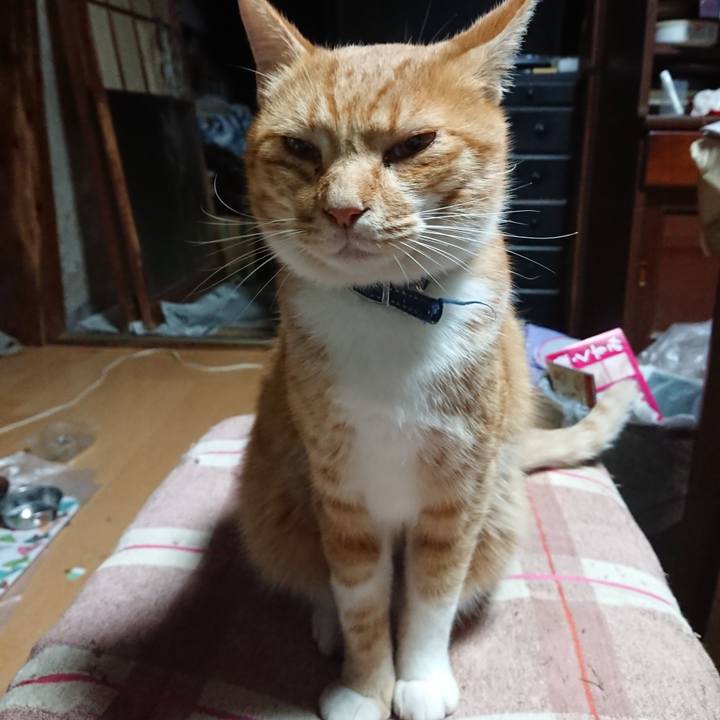 60dea16e 9b45 4e44 8d7a be9db2f16278 1601668156288