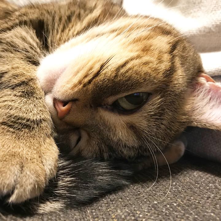 60dec7fd 6d9d 4283 a3e2 45ef01b15873 1516272064921