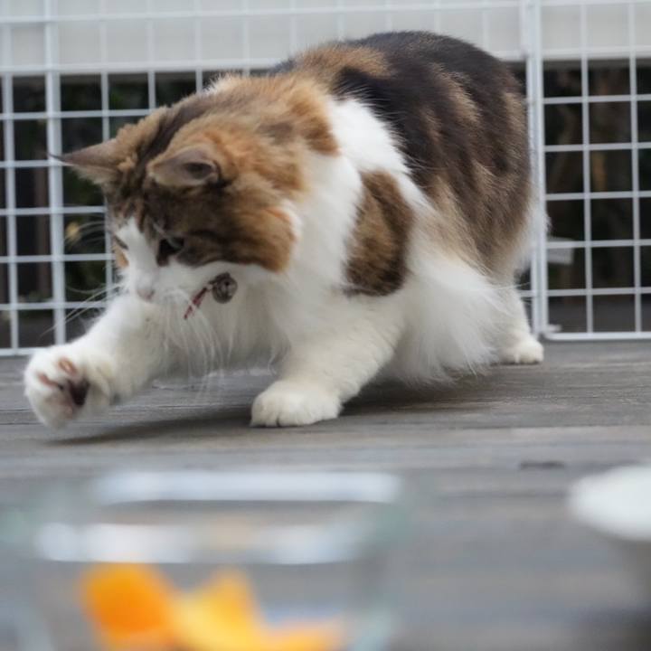 60dee08e 485f 47a0 95b1 4d6bc0bfc5b1 1702718168243