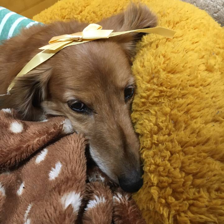 60dee548 d9d9 4042 b64d a072541b132a 1613740655924