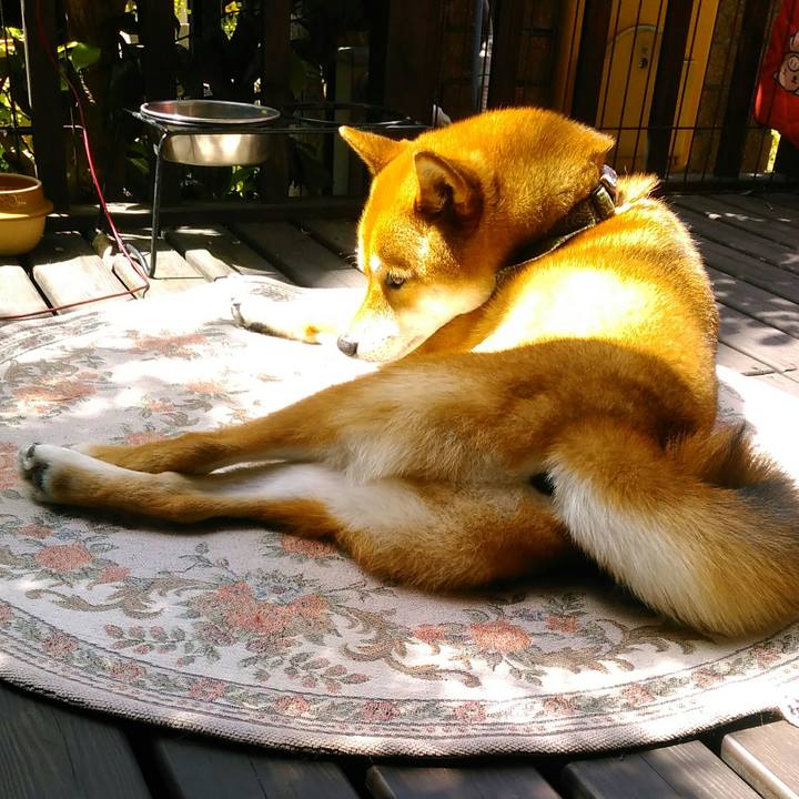 60def9b8 d077 4a51 96b0 36785ac1d0c9 1526348578860