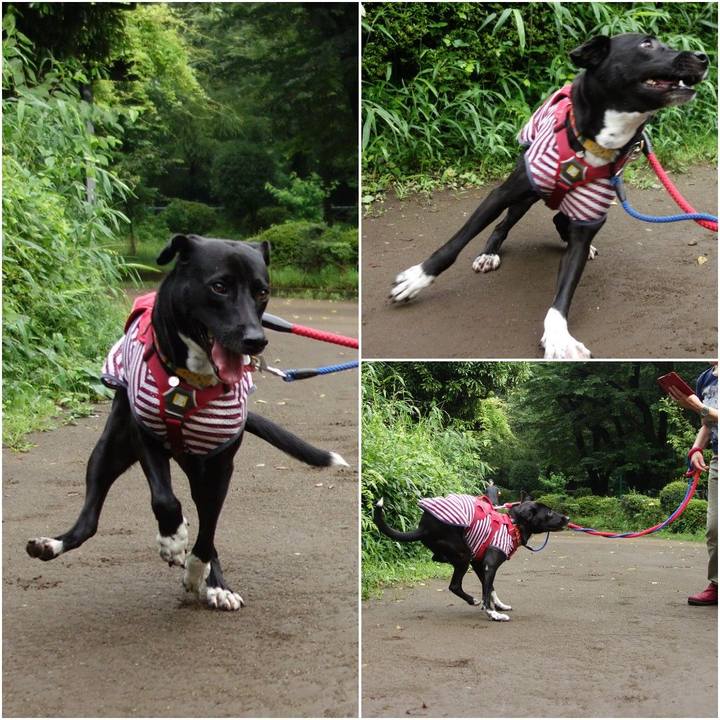 60df1f50 0a3b 4835 a94e 54da52ac29bf 1593906449422