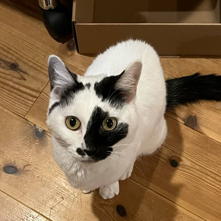 60df350b 0e49 48db 96a1 d2e7b93ffe05 1760795471186