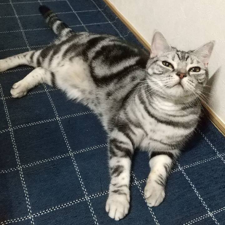 60df4125 f203 4fdb 80e7 894f45fead5c 1710972879934