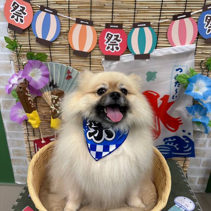 60df5b18 43d4 498a 93e9 3264c3913ee5 1689494579917