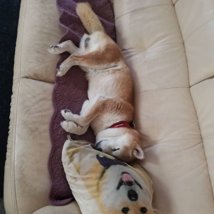 60df649a b7ce 4923 a0b0 1fd1ea4081ac 1752707279233