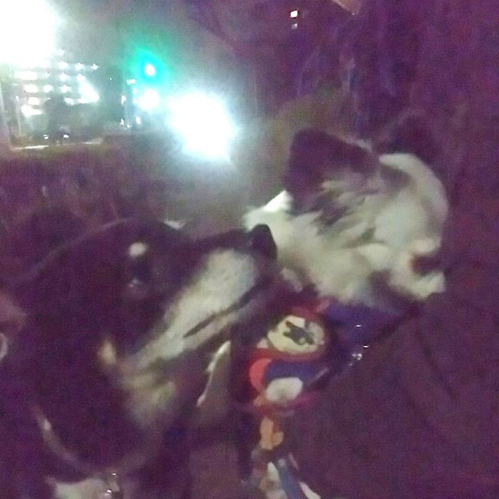 60df8c89 c5a1 4fd5 965b 38e5f8655373 1520170318806