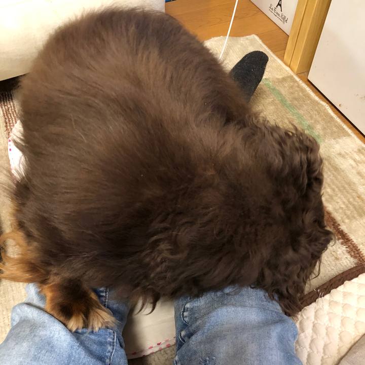 60df8c8a f2ae 4257 9849 19b1c9ee26b9 1683103805044